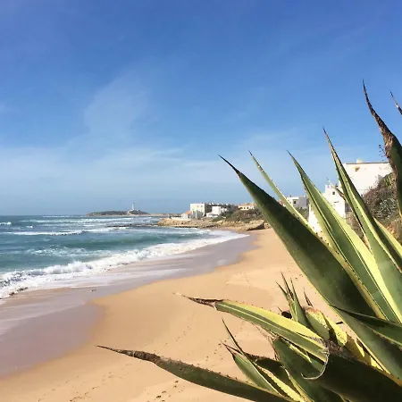 Atico Atlantico Con Aparcamiento Privado Apartment Vejer de la Frontera